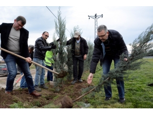 Karacabey’de 2 Bin Fidan Toprakla Buluştu