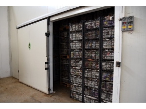 Tepebaşı Belediyesi Soğuk Hava Deposu İle Üreticinin Emeği Değer Kazanıyor