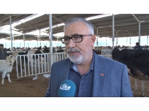 Aksaray’da ‘Hayvan Oteli’ne Tüccarlardan Büyük İlgi