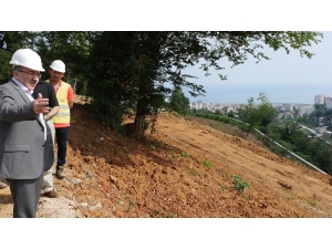 Unutulmaya Yüz Tutmuş Meyve Çeşitleri Trabzon Botanik’te Yeşerecek