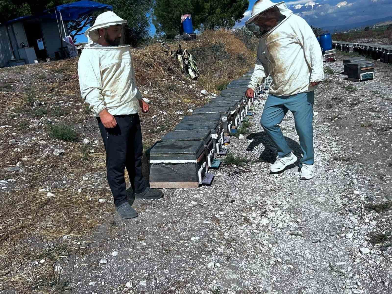ariciligin-gelistirilmesi-icin-saha-calismalari-suruyor