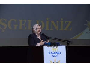 Düzce Milletvekilleri Komisyonlarda