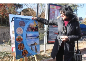 Bingöl’de ‘81 İliz Hepimiz Biriz’ Sergisi