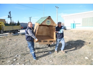 Odunpazarı Belediyesi Sokak Hayvanlarını Unutmadı