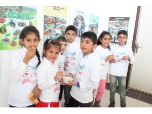 Öğrenciler Afişlerle 81 İli Tanıttı