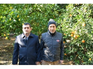 Dalaman Ziraat Odası Başkanı Tuncay; “Üretimin Maliyeti Yüksek”