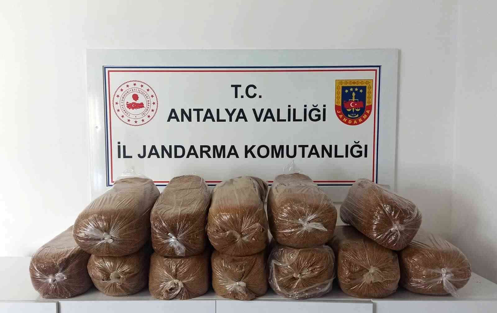 antalya-da-uc-ilcede-kacak-tutun-operasyonu-785-kilogram-tutun-ele-gecirildi