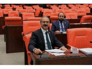 Ak Parti’li Alim Tunç; “Meclis Çocuk Parkı Değildir”