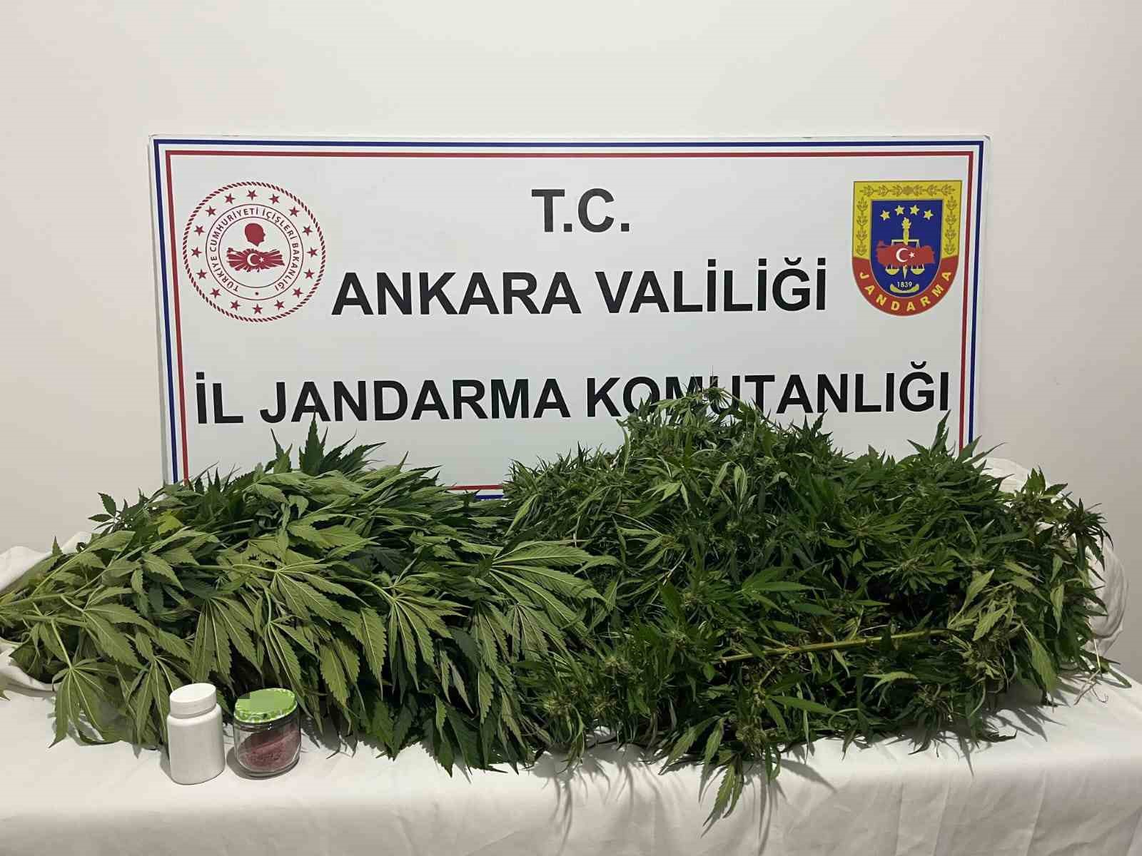 ankara-daki-narkotik-operasyonunda-150-kok-kenevir-ele-gecirildi