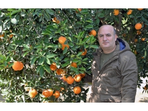 Gıda İthalatı Üretimi Vurdu