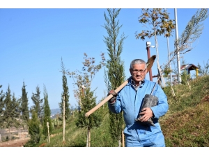 "Orman Dede" 100 Bin Fidanı Toprakla Buluşturdu
