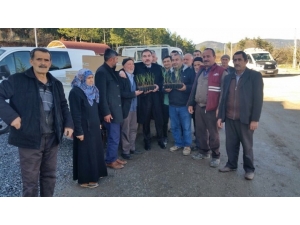 Büyükorhan Yaban Mersini Üssü Olacak