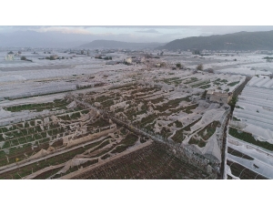 Tarsim 2017 Yılında Üreticilere 850 Milyon Tl Ödedi