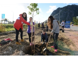 Konyaaltı’nda 40 Genç 40 Fidan Dikti