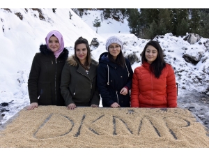 Gümüşhane’de Yoğun Kış Şartlarında Yaban Hayatı Unutulmuyor