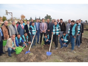 Kozan’da 500 Fidan Toprakla Buluştu