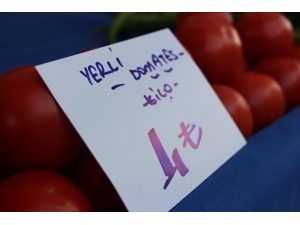 Domatesin Fiyatı Cep Yakıyor