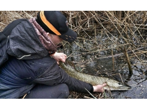 Turna Av Yasağı Başladı