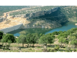 Aralık Ayındaki Yağışlar Ardıl Barajındaki Su Seviyesini Arttırdı