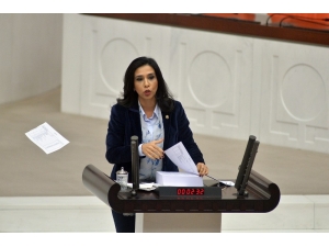 Chp İstanbul Milletvekili Gülay Yedekçi Bütçe Kitapçığının Sayfalarını Yırttı