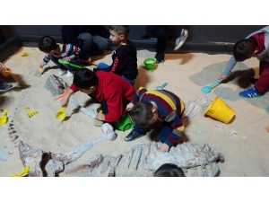 Miniklerin Dinozor Merakı