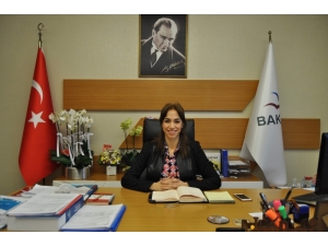 Filyos Endüstri Bölgesi, Yerli Otomobil Projesine Ev Sahipliği Yapmak İstiyor