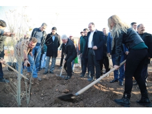 Çiftçi Öğrencilerle Ağaç Dikimini Gerçekleştirdi