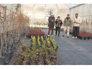 Müdür Şimşek Köylerdeki Seraları Ziyaret Etti