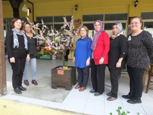 İğne Oyasından Yapılan Ağaç Guinness Yolunda