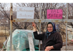 Şehir Hayatından Sıkılıp Geldikleri Sivas’ta Sera Kurdular