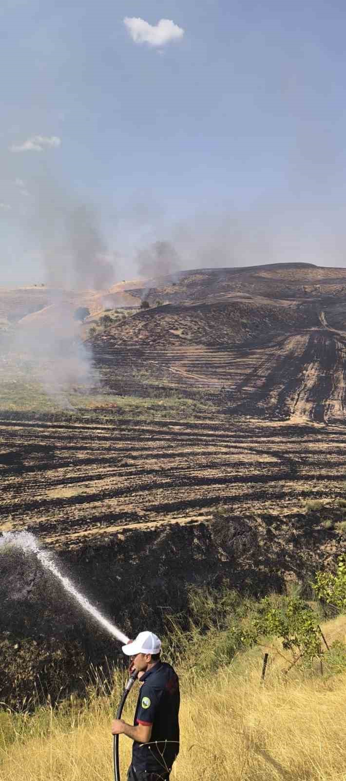 siirt-te-aniz-yangini-meyve-bahcesine-sicradi-100-agac-zarar-gordu