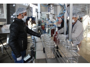 Tkdk’dan Destek Aldı, Onlarca Gence İş Alanı Oluşturdu