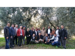 Zeytincilere Budama Eğitimi