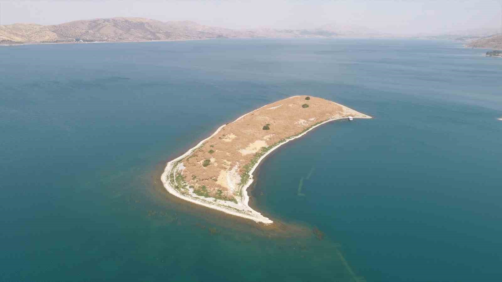 massad-tavsan-adasi-icin-projelerini-siraladi