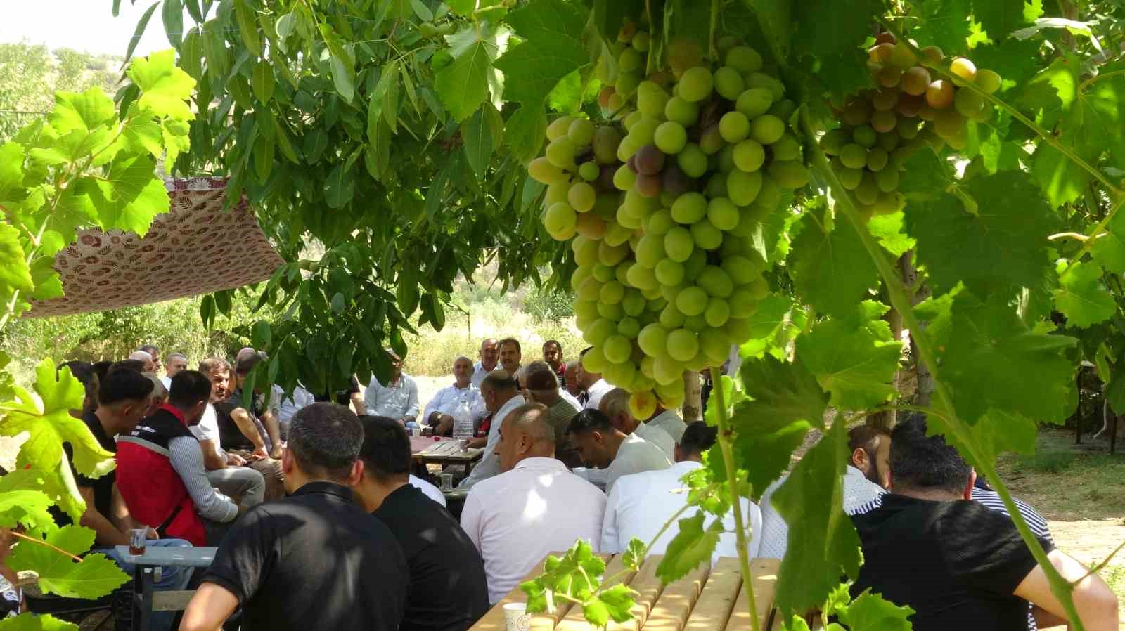 batman-da-mezrone-uzumu-icin-tarihi-adim-baglica-koyunde-kooperatiflesme-heyecani