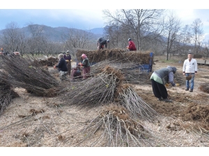 Türkiye’nin Çöğürünü İnegöl Karşılıyor