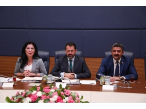 Altunyaldız: “Ticaret Hacmimizin 100 Milyar Dolar Seviyesine Çıkması Ekonomik Engellerin Kaldırılmasına Bağlı”