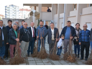19 Mayıs’ta Çiftlere Kestane Bahçesi