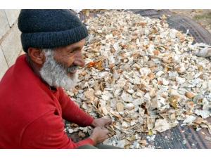 Suriyeli Mülteci Çöpten Topladığı Ekmekten Para Kazanıyor