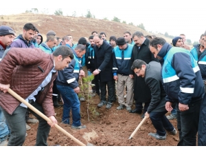 Başkan Çiftçi Şuski Personelleriyle Ağaç Dikti