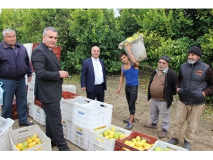 Sgk, Mevsimlik Tarım İşçileriyle Buluştu