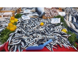 Hamsinin Fiyatı Kıymayla Yarışıyor