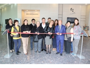 Doğa Sanatla Buluştu