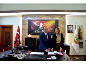 Yeşilırmak Havzası’ndaki Ormanlar Saleple Donatılacak