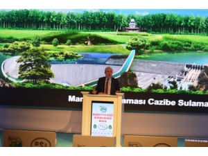 Ak Parti Mardin Milletvekili Orhan Miroğlu: “Gap’ta Mutlu Sona Yaklaşılıyor”