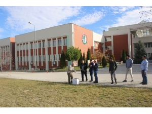 Kanadı Sıkışan Çakırkuşunu Ekolog Kurtardı