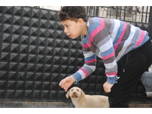 İnternetten Bıkan Çocuklar Doğal Yaşama Geri Döndü