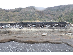 Sahil Çöp, Moloz, Plastik Atıklarla Doldu