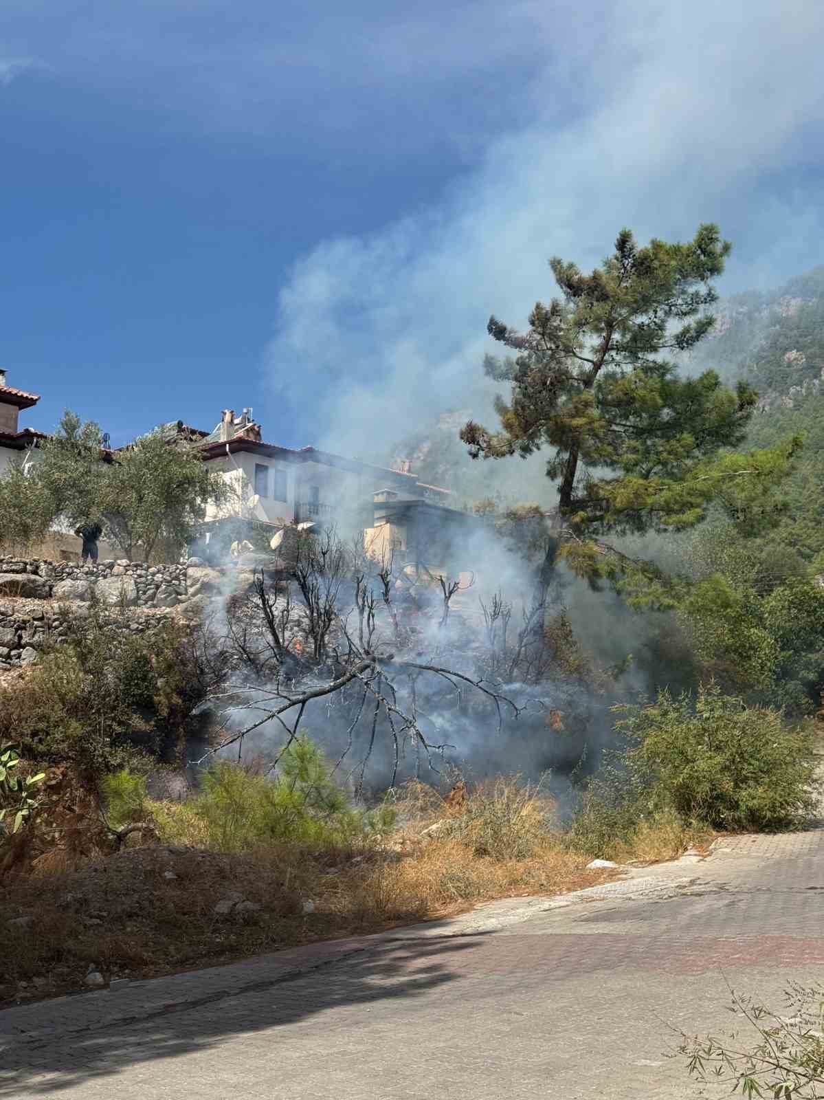 akyaka-da-ot-yangini-panige-neden-oldu