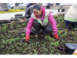 Hatay’da Çiçeklendirme Çalışmaları